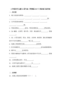 粤教粤科版 (2017)12 昼与夜巩固练习
