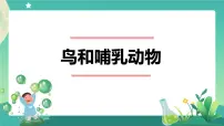 小学科学人教鄂教版 (2017)四年级上册1 鸟和哺乳动物教学课件ppt