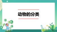 科学人教鄂教版 (2017)2 动物的分类教学ppt课件