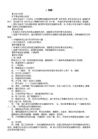 小学科学青岛版 (六三制2017)六年级上册1 细胞教案设计