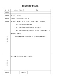 小学科学大象版二年级上册全册实验报告单（2022秋）