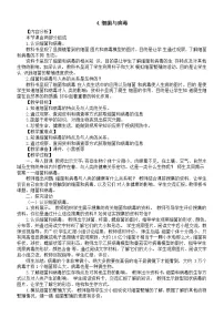 小学科学青岛版 (六三制2017)六年级上册2 像与不像教学设计
