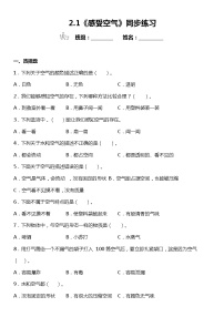 小学科学教科版 (2017)三年级上册1.感受空气课时练习