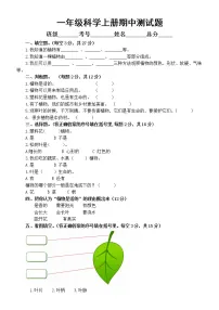 小学科学教科版一年级上册期中测试题(2022秋)(附参考答案)