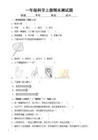 小学科学教科版一年级上册期末测试题（2022秋）