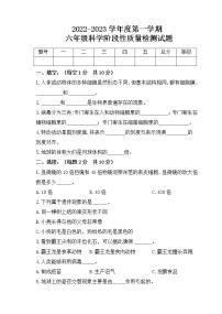 新青岛版科六三制六年级上册期中测试题+答案（三）