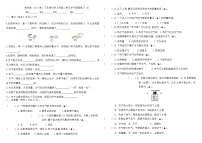 5教科版（2017秋）三年级科学上册第二单元空气摸底练习A(8开）