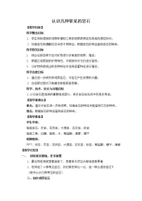 教科版 (2017)四年级下册2.认识几种常见的岩石教学设计及反思
