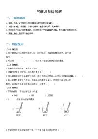 教科版科学三年级上册  期中专题02  溶解与分离  专项复习