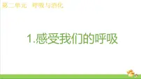 教科版 (2017)四年级上册1.感受我们的呼吸精品ppt课件
