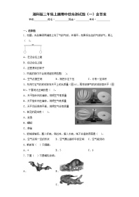 湘科版三年级上册科学期中综合测试题（一）含答案