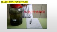 科学生物与环境15 瓶子中的科学获奖教学ppt课件