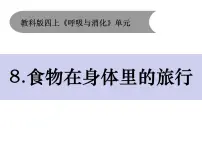 小学教科版 (2017)8.食物在身体里的旅行优质教学ppt课件