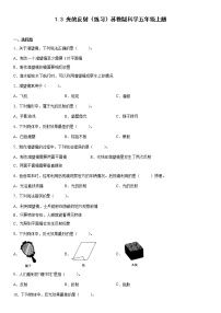 科学五年级上册3 光的反射练习题