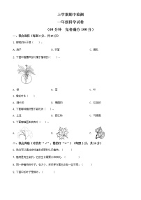 科学一年级上学期期中试题3（教科版，含答案）