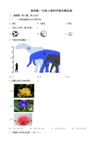 科学一年级上学期期末试题5（教科版，含答案）