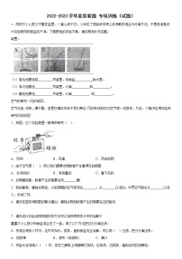 实验题专项训练（试题）三年级上册科学教科版