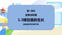 教科版 (2017)五年级下册3.绿豆苗的生长优秀课件ppt