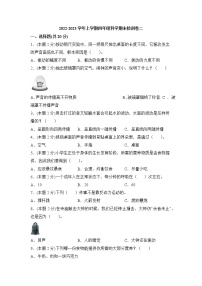 教科版科学四年级上册 期末模拟卷（二）（含答案）