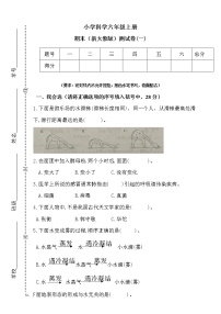 新大象版科学六年级上册期末测试卷（一）（含答案）