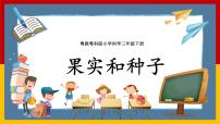 科学粤教粤科版 (2017)16 果实和种子一等奖课件ppt