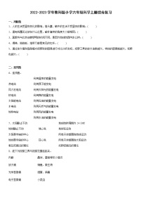 2022-2023学年教科版六年级科学上册期末综合复习试卷可下载（附答案）