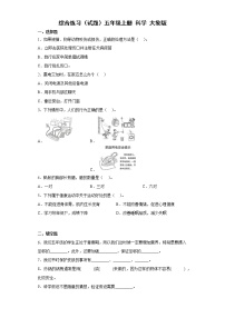 大象版（2017秋）五年级上册综合练习（含答案）