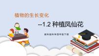 小学科学教科版 (2017)四年级下册2.种植凤仙花试讲课课件ppt