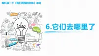 小学科学教科版 (2017)一年级下册6.它们去哪里了精品课件ppt