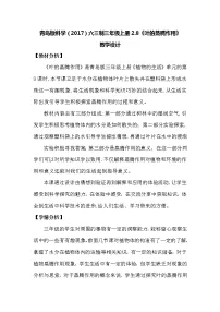 青岛版 (六三制2017)8 叶的蒸腾作用教案