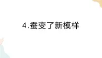 教科版 (2017)三年级下册4.蚕变了新模样优秀课件ppt