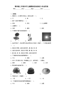 教科版二年级科学上册期末综合测试B卷含答案