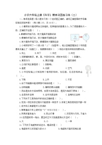 【期末模拟】教科版科学六年级上册期末巩固练习卷（二）（含答案）