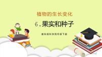 科学四年级下册6.果实和种子习题课件ppt