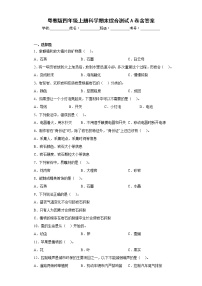 粤教版四年级上册科学期末综合测试A卷含答案