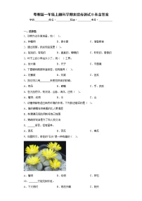 粤教版一年级上册科学期末综合测试B卷含答案