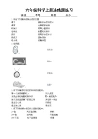 小学科学教科版六年级上册期末复习连线题专项练习（附参考答案）（2022秋）