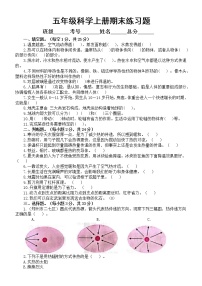 小学科学大象版五年级上册期末练习题（2022秋）（附参考答案）