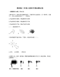 期末测试卷（试题）三年级上册科学教科版