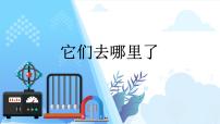 小学科学教科版 (2017)一年级下册6.它们去哪里了教学课件ppt