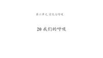 小学科学青岛版 (六三制2017)三年级下册第六单元 消化与呼吸20 我们的呼吸说课ppt课件