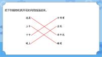 小学苏教版 (2017)11 昼夜对动物的影响试讲课ppt课件