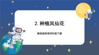 科学四年级下册2.种植凤仙花优质ppt课件