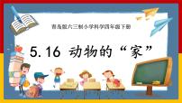 小学科学青岛版 (六三制2017)四年级下册16 动物的“家”精品课件ppt