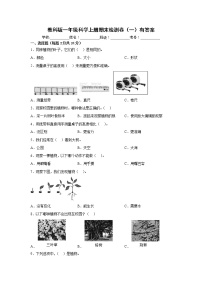 教科版一年级科学上册期末检测卷（一）有答案