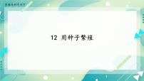 苏教版 (2017)四年级下册12 用种子繁殖优质ppt课件