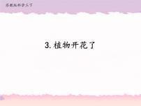 小学科学苏教版 (2017)三年级下册3 植物开花了精品ppt课件