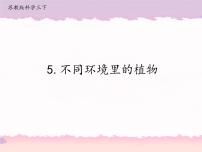 小学科学苏教版 (2017)三年级下册第二单元 植物与环境5 不同环境里的植物优秀课件ppt