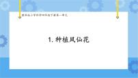 小学科学教科版 (2017)四年级下册2.种植凤仙花精品课件ppt