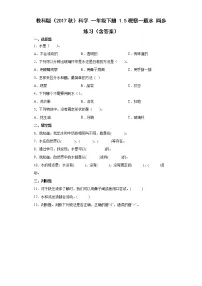 教科版 (2017)一年级下册5.观察一瓶水优秀习题